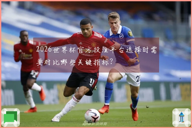 2026世界杯官方投注平台选择时需要对比哪些关键指标？
