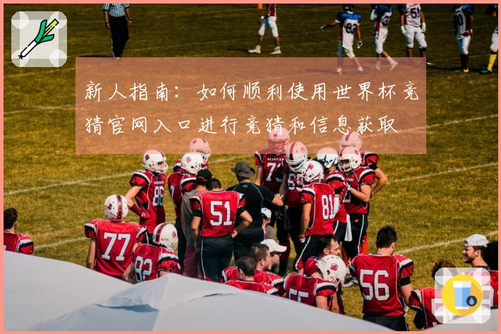 新人指南：如何顺利使用世界杯竞猜官网入口进行竞猜和信息获取