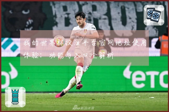我的世界杯投注平台官网地址使用体验：功能与入口全解析