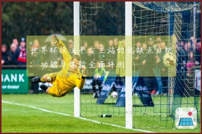 世界杯投注平台主站的优缺点分析：功能与体验全面评测
