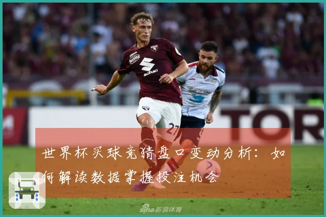 世界杯买球竞猜盘口变动分析：如何解读数据掌握投注机会