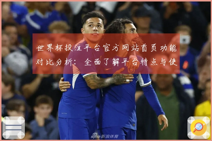 世界杯投注平台官方网站首页功能对比分析：全面了解平台特点与使用体验