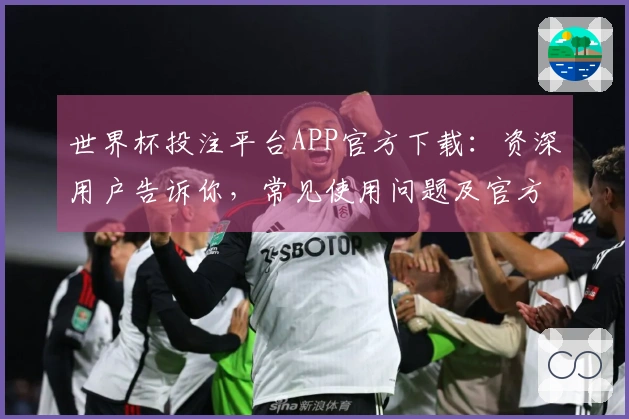 世界杯投注平台APP官方下载：资深用户告诉你，常见使用问题及官方解答