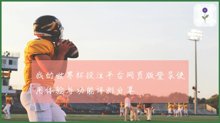 我的世界杯投注平台网页版登录使用体验与功能评测分享