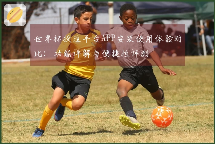 世界杯投注平台APP安装使用体验对比：功能详解与便捷性评测