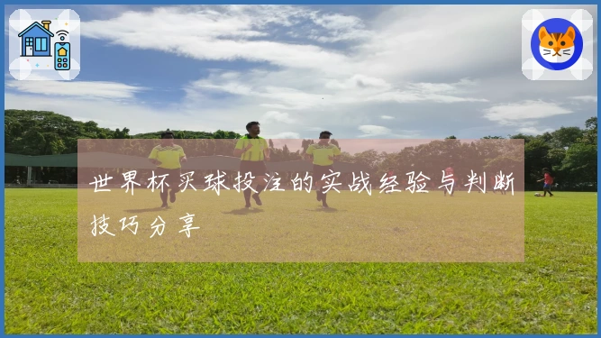 世界杯买球投注的实战经验与判断技巧分享