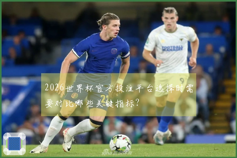 2026世界杯官方投注平台选择时需要对比哪些关键指标？