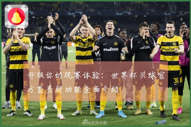 升级你的观赛体验：世界杯买球官方首页新功能全面介绍