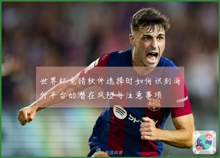 世界杯竞猜软件选择时如何识别海外平台的潜在风险与注意事项