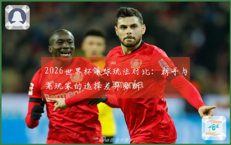 2026世界杯滚球玩法对比：新手与老玩家的选择差异分析
