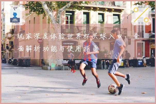 玩家深度体验世界杯买球入口，全面解析功能与使用指南