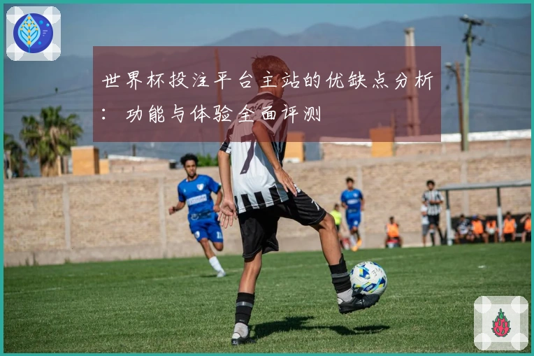 世界杯投注平台主站的优缺点分析：功能与体验全面评测