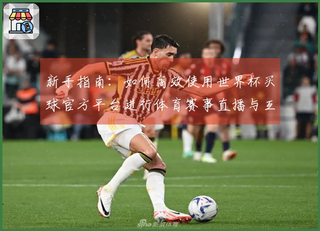 新手指南：如何高效使用世界杯买球官方平台进行体育赛事直播与互动