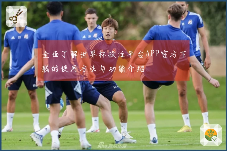 全面了解世界杯投注平台APP官方下载的使用方法与功能介绍